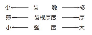  齿形比较 