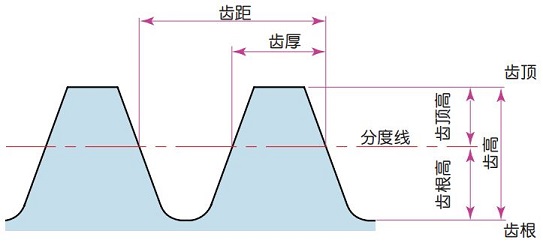  图 2.4 齿根与齿厚 