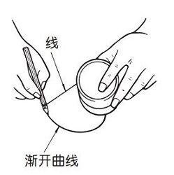  渐开曲线 