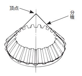  伞形齿轮 