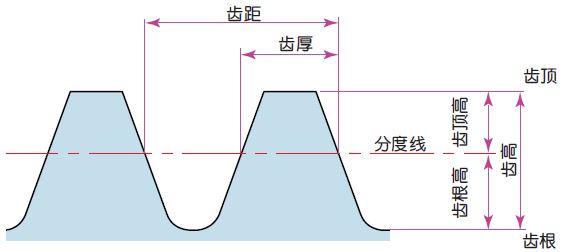  齿顶高 