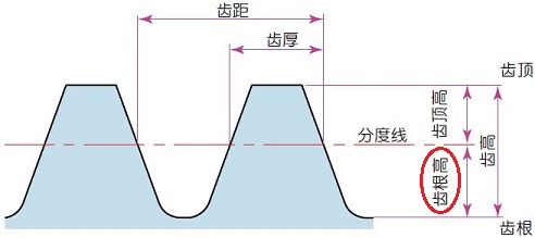  齿根高 