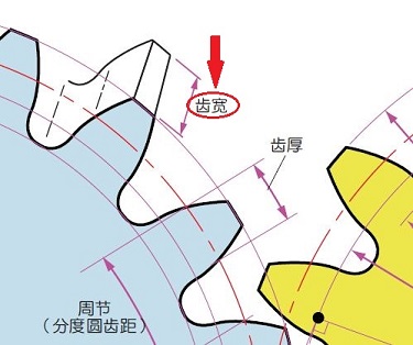 齿宽 