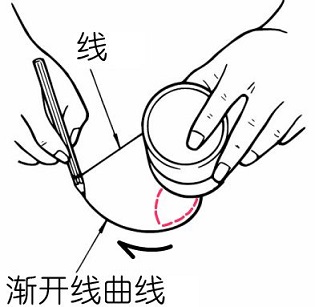  渐开线曲线 