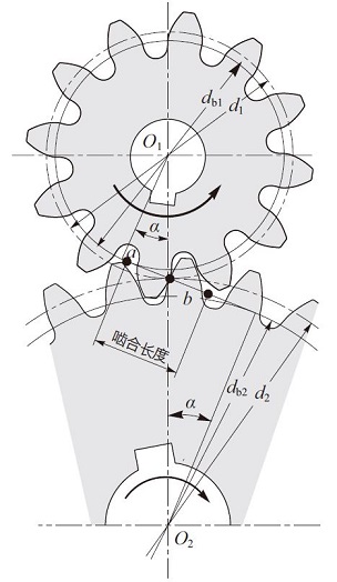  啮合线长度 