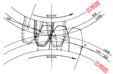 齿根圆 