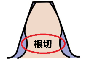  根切 