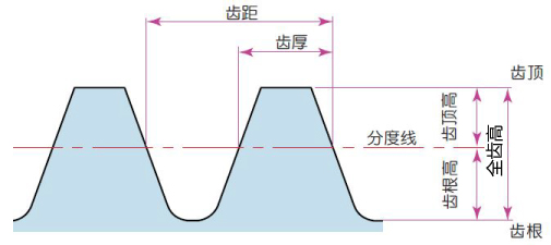  全齿高 