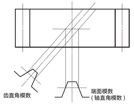 端面模数和法向模数 端面模数和法向模数